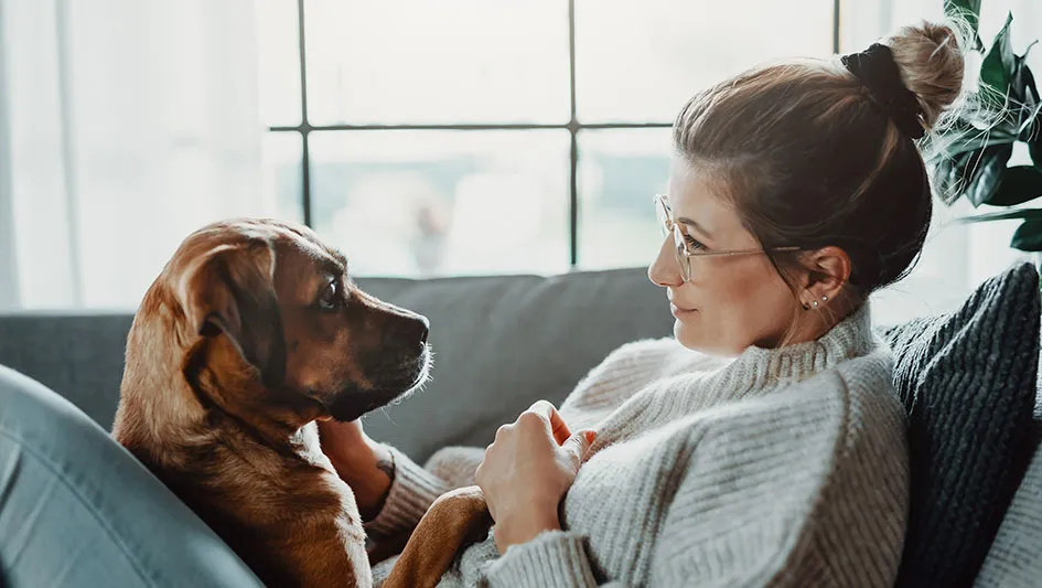 Is An Air Purifier Worth The Cost? | Tokay Heating & Air